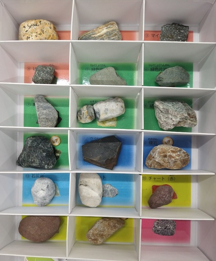 標本箱 標本箱