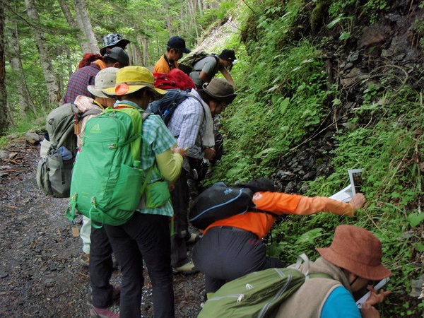 苔の観察会の様子 苔の観察会の様子
