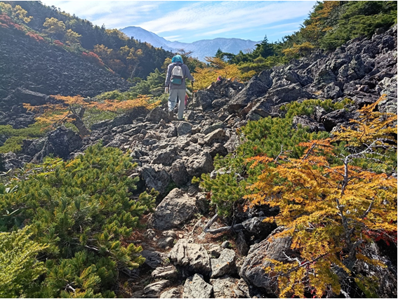 岩海と紅葉3 岩海と紅葉3