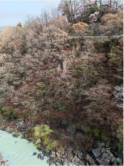 三峰川沿いの崖