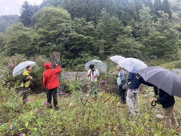 小道木の埋没林にて