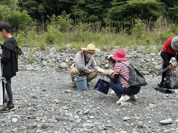 三峰川での石ころ採取3 三峰川での石ころ採取3