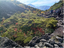 岩海と紅葉1