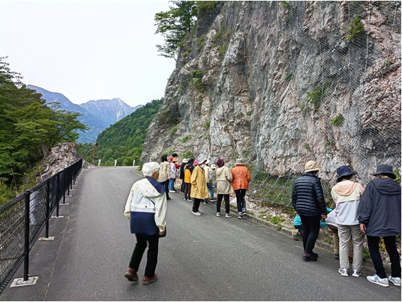 白岩で植物観察