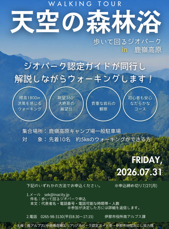 チラシ チラシ